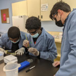 2- A visit to the Ontario Science Centre where our students conducted a lab inserting DNA from bioluminescent jellyfish into E. coli on a petri dish. 